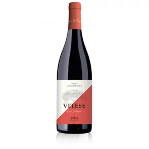 Vitese Syrah BIO 2020 Colomba Bianca