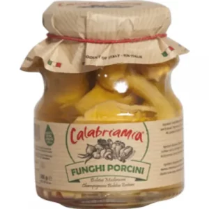 FUNGHI PORCINI OLIO EX. V. OLIVA