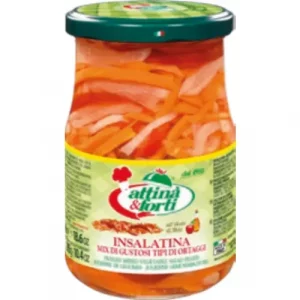 INSALATINA SOTT'ACETO