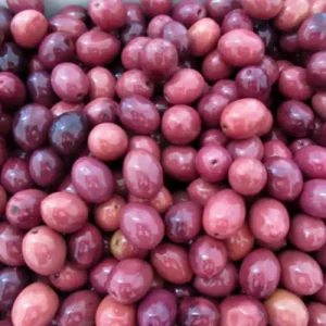 OLIVE NERE TIPO GAETA SALAMOIA