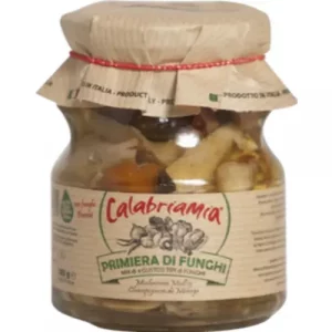 PRIMIERA DI FUNGHI IN OLIO EVO
